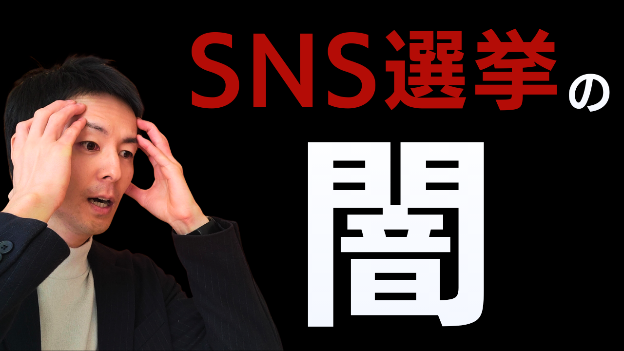 SNS選挙 SNS採用